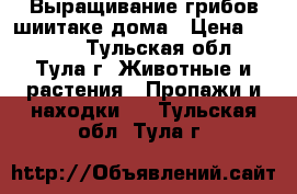 Выращивание грибов шиитаке дома › Цена ­ 1 850 - Тульская обл., Тула г. Животные и растения » Пропажи и находки   . Тульская обл.,Тула г.